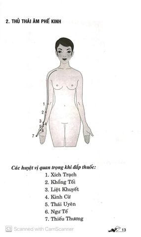  Dán Đắp Thuốc Trị Liệu 30 Bệnh Thường Gặp - Lý Nam Sinh 