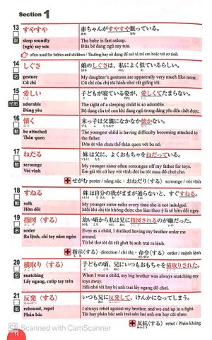  N1 - 3000 Từ Vựng Cần Thiết Cho Kỳ Thi Năng Lực Nhật Ngữ - Arc Academy 