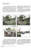  Chơi Đàn Guitar Bằng Hình Ảnh - Arthur Dick, Joe Bennett 
