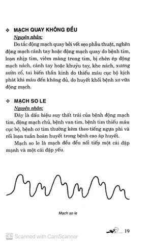  Khí Công Y Đạo - Tự Day Ấn Huyệt Chữa Bệnh - Bệnh Tim Mạch & Huyết - Đỗ Đức Ngọc 
