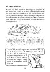 Horrible Geography - Ao Hồ Láo Nháo - Anita Ganeri, Mike Phillips