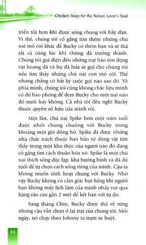  Thiên Nhiên Liều Thuốc Nhiệm Màu - Jack Canfield 