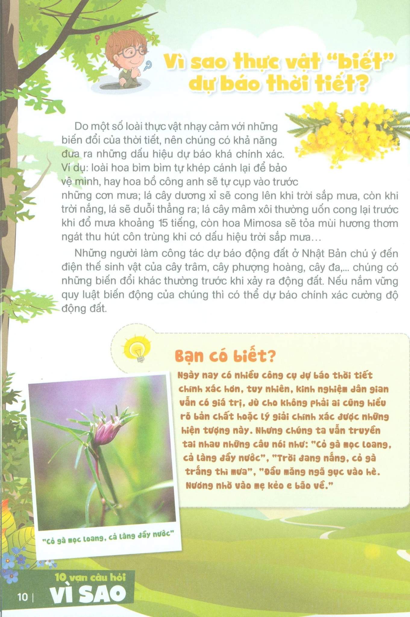 10 Vạn Câu Hỏi Vì Sao - Gõ Cửa Thế Giới Thực Vật - Trần Duy Thành