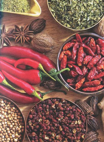  Dinh Dưỡng Chữa Bệnh - Gia Vị & Thảo Dược - Susan Curtis, Pat Thomas, Dragana Vilinac 