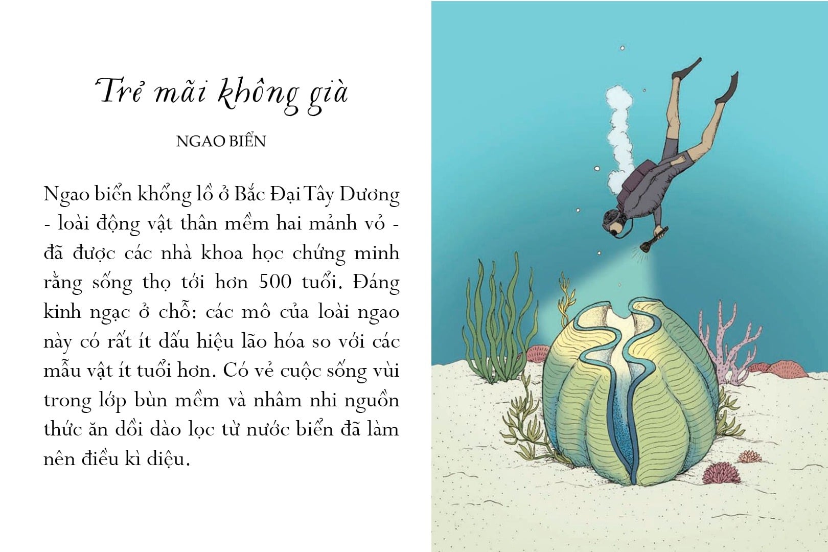 Sống Một Đời Tựa Biển Khơi - Những Bài Học Trí Tuệ Nhẹ Nhàng Sâu Lắng Của Đại Dương - Annie Davidson, Richard Harrington