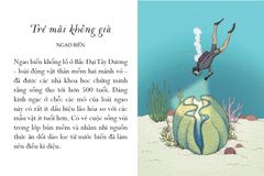 Sống Một Đời Tựa Biển Khơi - Những Bài Học Trí Tuệ Nhẹ Nhàng Sâu Lắng Của Đại Dương - Annie Davidson, Richard Harrington