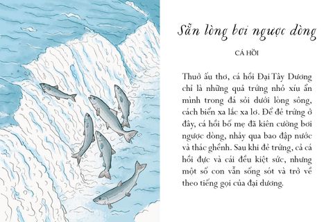  Sống Một Đời Tựa Biển Khơi - Những Bài Học Trí Tuệ Nhẹ Nhàng Sâu Lắng Của Đại Dương - Annie Davidson, Richard Harrington 