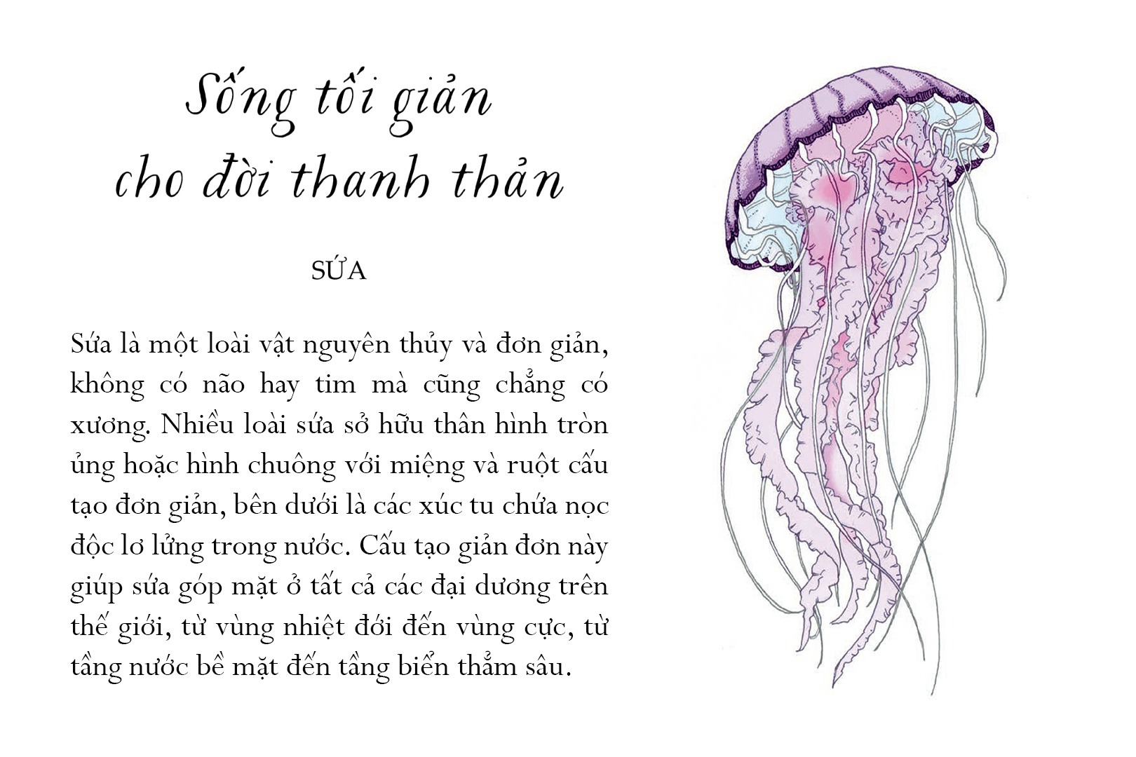 Sống Một Đời Tựa Biển Khơi - Những Bài Học Trí Tuệ Nhẹ Nhàng Sâu Lắng Của Đại Dương - Annie Davidson, Richard Harrington