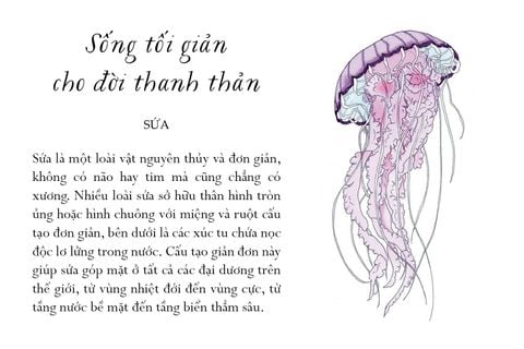  Sống Một Đời Tựa Biển Khơi - Những Bài Học Trí Tuệ Nhẹ Nhàng Sâu Lắng Của Đại Dương - Annie Davidson, Richard Harrington 