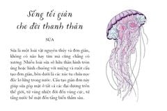 Sống Một Đời Tựa Biển Khơi - Những Bài Học Trí Tuệ Nhẹ Nhàng Sâu Lắng Của Đại Dương - Annie Davidson, Richard Harrington