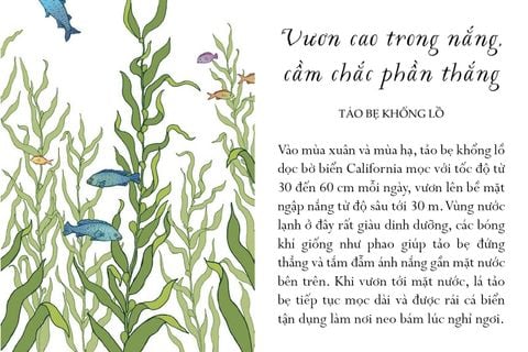  Sống Một Đời Tựa Biển Khơi - Những Bài Học Trí Tuệ Nhẹ Nhàng Sâu Lắng Của Đại Dương - Annie Davidson, Richard Harrington 
