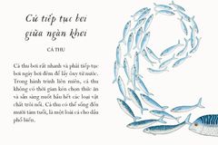 Sống Một Đời Tựa Biển Khơi - Những Bài Học Trí Tuệ Nhẹ Nhàng Sâu Lắng Của Đại Dương - Annie Davidson, Richard Harrington
