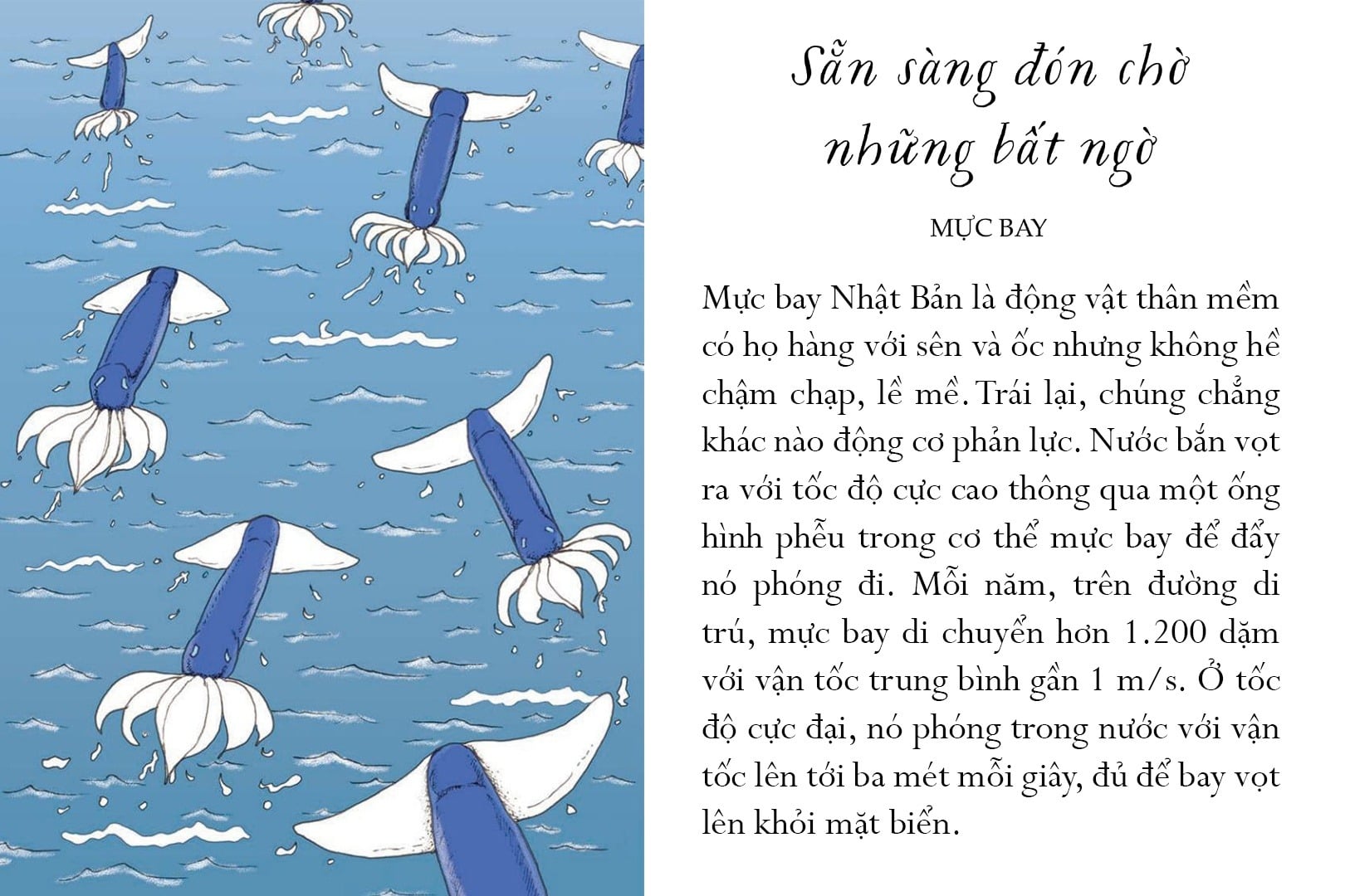 Sống Một Đời Tựa Biển Khơi - Những Bài Học Trí Tuệ Nhẹ Nhàng Sâu Lắng Của Đại Dương - Annie Davidson, Richard Harrington