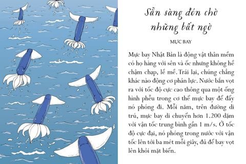  Sống Một Đời Tựa Biển Khơi - Những Bài Học Trí Tuệ Nhẹ Nhàng Sâu Lắng Của Đại Dương - Annie Davidson, Richard Harrington 