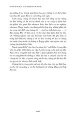 Hiệu Ứng Telomere: Giải Pháp Đột Phá Để Sống Trẻ, Khỏe, Và Ngăn Ngừa Lão Hóa - Elizabeth Blackburn, Elissa Epel