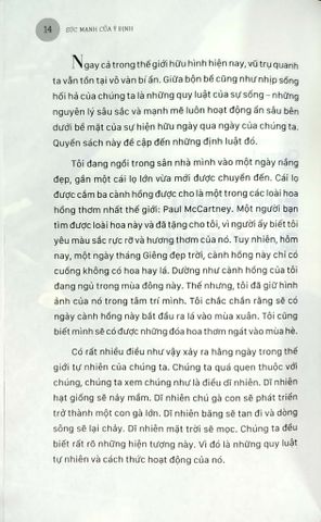  Sáng Suốt Về Tiền Bạc - Alice Bandy 