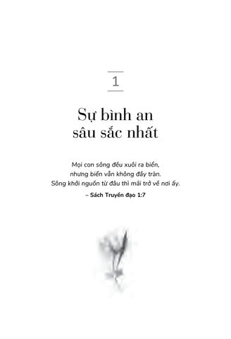  Vẻ Đẹp Của Những Điều Còn Lại - Steve Leder 