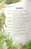  Dế Mèn Phiêu Lưu Ký - Diary Of A Cricket (Tiếng Anh) - Tô Hoài, Tạ Huy Long 