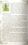  Dế Mèn Phiêu Lưu Ký - Diary Of A Cricket (Tiếng Anh) - Tô Hoài, Tạ Huy Long 