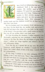 Dế Mèn Phiêu Lưu Ký - Diary Of A Cricket (Tiếng Anh) - Tô Hoài, Tạ Huy Long