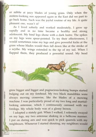  Dế Mèn Phiêu Lưu Ký - Diary Of A Cricket (Tiếng Anh) - Tô Hoài, Tạ Huy Long 