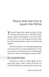  Sống Ở Thể Chủ Động - Nguyễn Tuấn Quỳnh 