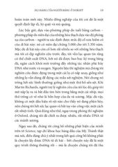 Khoa Học Khám Phá - Bảy Nàng Con Gái Của Eva - Bryan Sykes