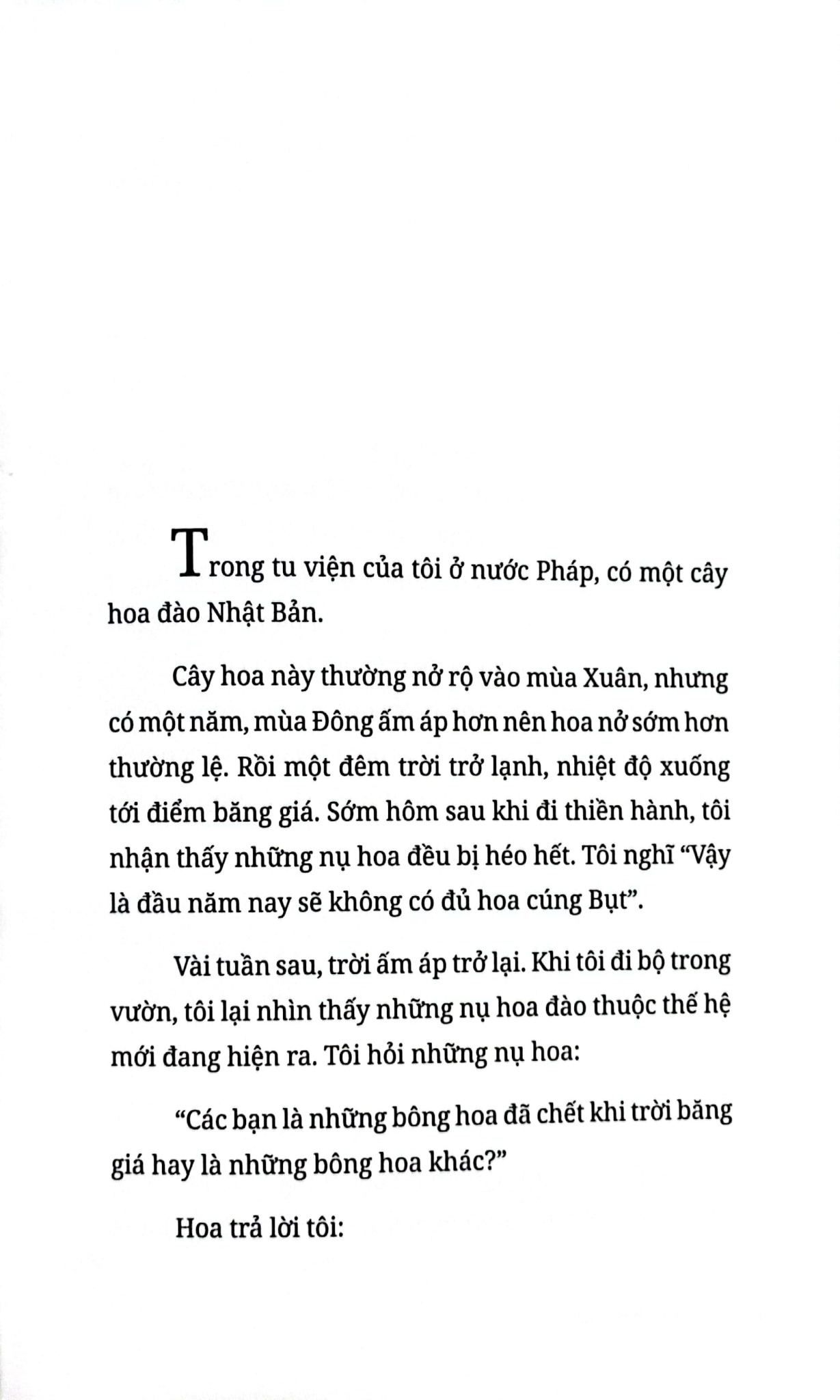 Không Diệt Không Sinh Đừng Sợ Hãi - Bìa Cứng - Phiên Bản Đặc Biệt - Thích Nhất Hạnh