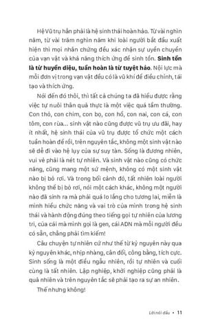  Không Có Sông Quá Dài - Cẩm Nang Dành Cho Những Người Khởi Nghiệp - Phan Văn Trường 