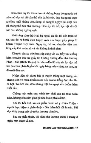  Ông Giáo Làng Trên Tầng Gác Mái  - Nguyễn Thế Vinh, Nguyễn Thị V 
