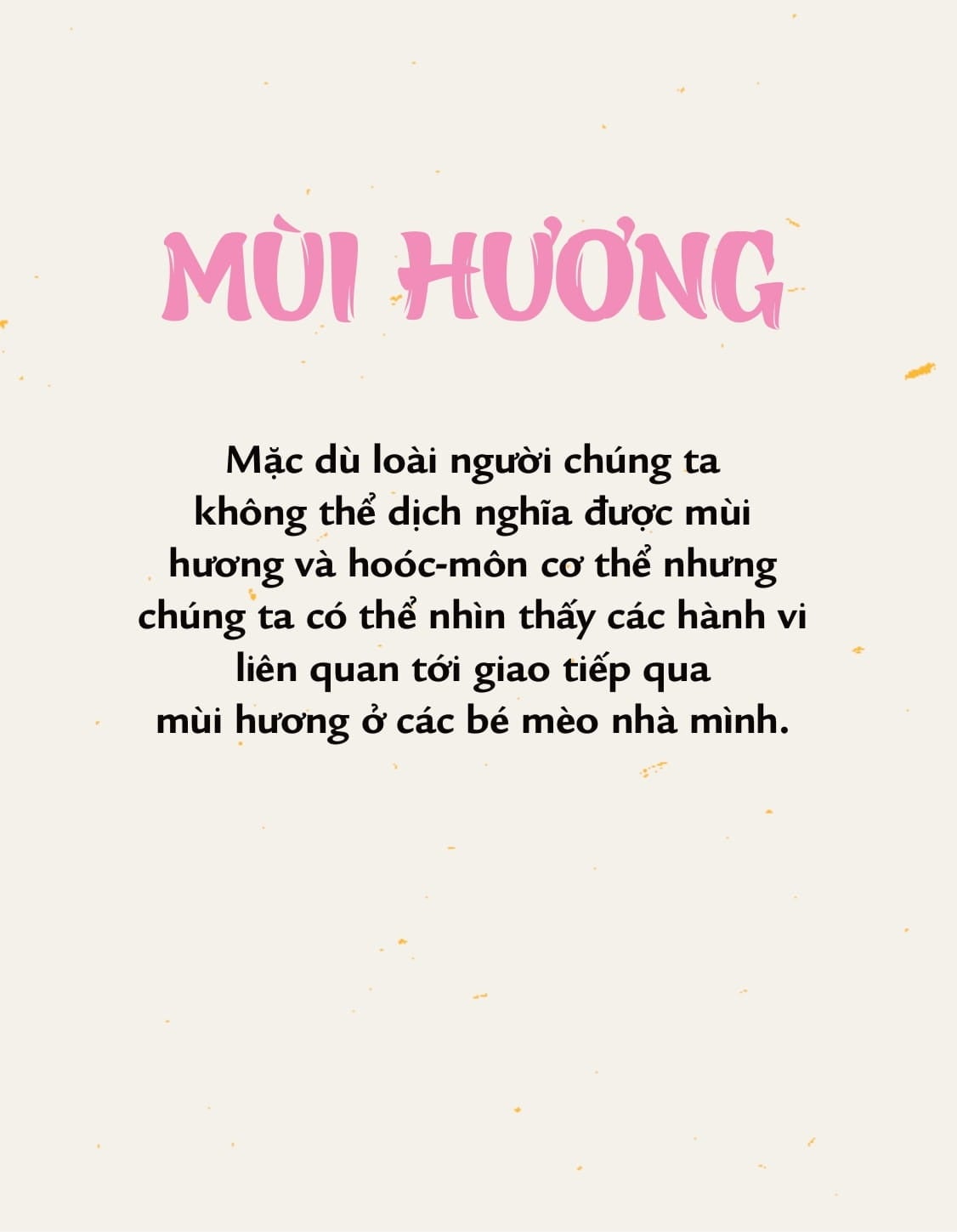 Mèo Méo Meo - Bí Mật Giao Tiếp Từ Cái Vẫy Đuôi Đến Tiếng Grừ Grừ - LiLi Chin