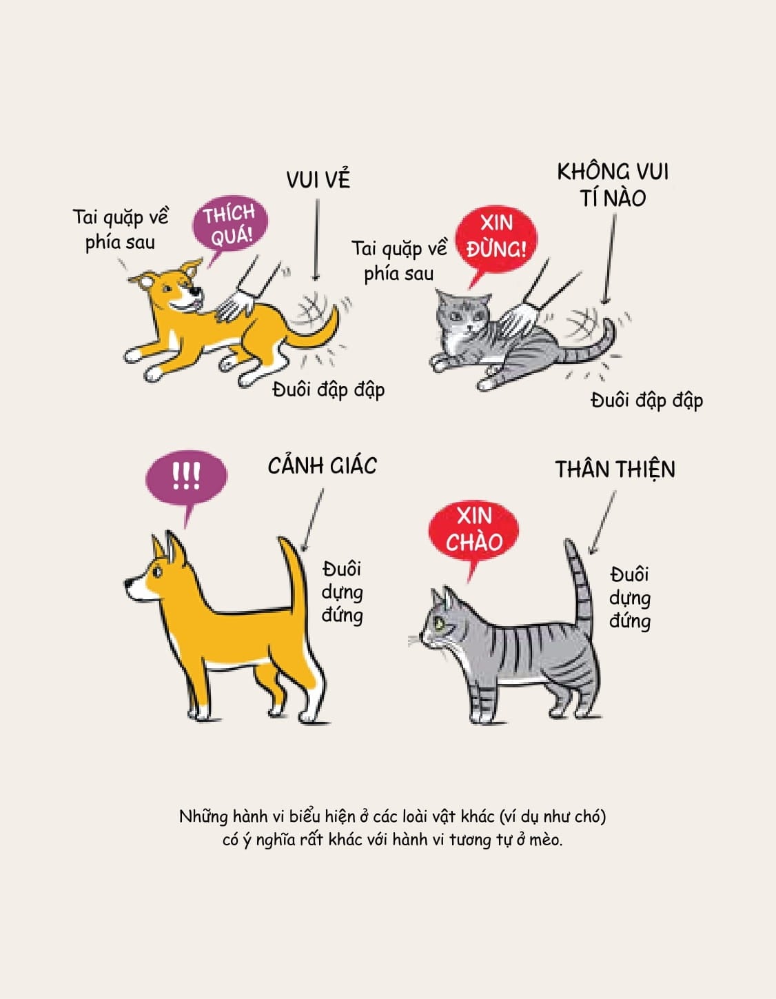Mèo Méo Meo - Bí Mật Giao Tiếp Từ Cái Vẫy Đuôi Đến Tiếng Grừ Grừ - LiLi Chin
