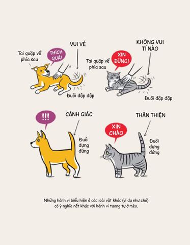  Mèo Méo Meo - Bí Mật Giao Tiếp Từ Cái Vẫy Đuôi Đến Tiếng Grừ Grừ - LiLi Chin 