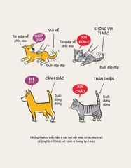 Mèo Méo Meo - Bí Mật Giao Tiếp Từ Cái Vẫy Đuôi Đến Tiếng Grừ Grừ - LiLi Chin