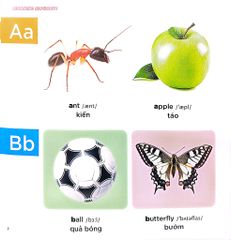 Bé Học Tiếng Anh Qua Hình Ảnh - English For Children - Bảng Chữ Cái - Learning Alphabet - First News