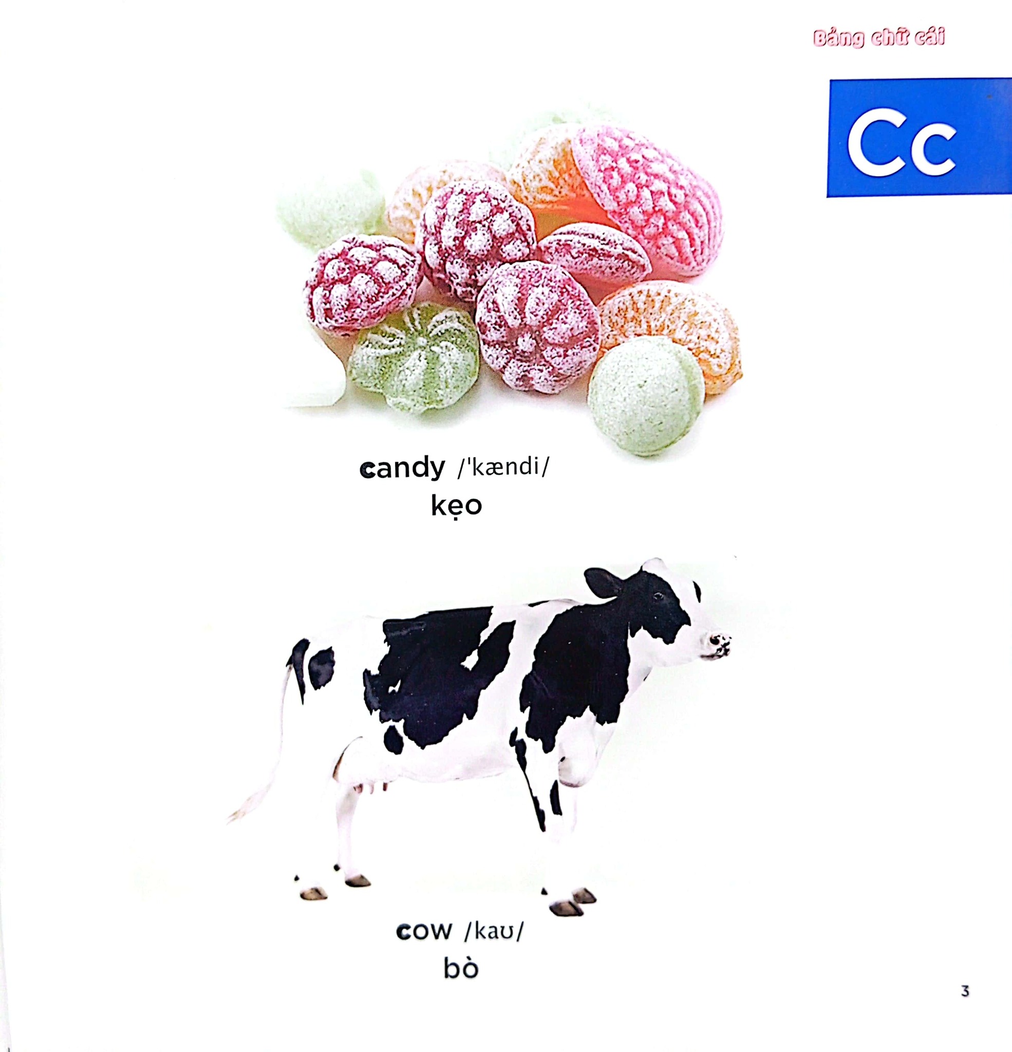 Bé Học Tiếng Anh Qua Hình Ảnh - English For Children - Bảng Chữ Cái - Learning Alphabet - First News