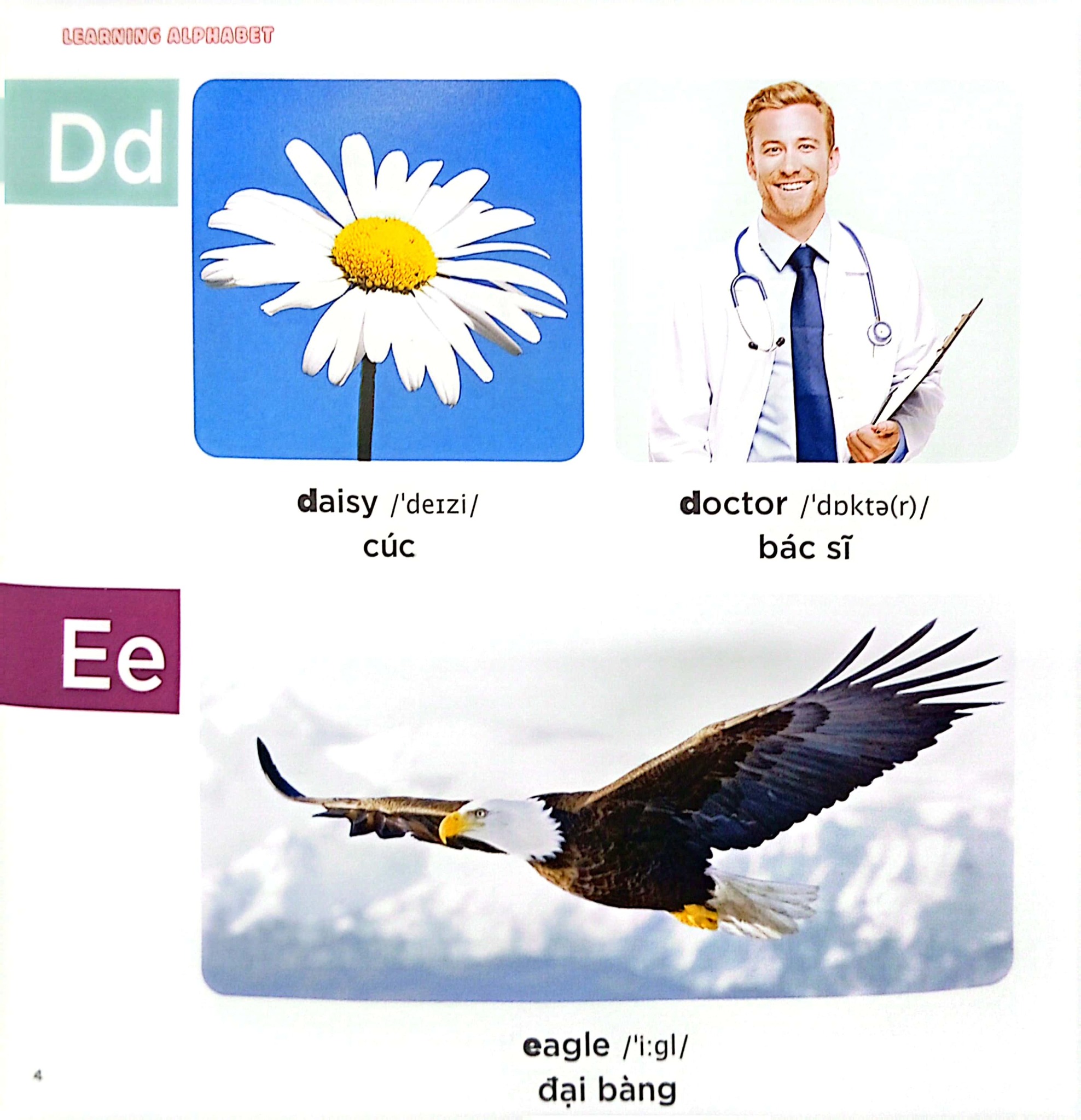 Bé Học Tiếng Anh Qua Hình Ảnh - English For Children - Bảng Chữ Cái - Learning Alphabet - First News