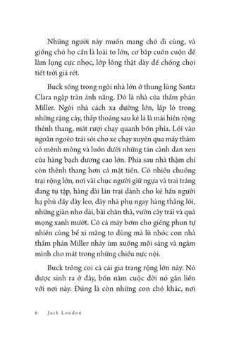 Tiếng Gọi Nơi Hoang Dã - Văn Học Mỹ -  Tác Phẩm Chọn Lọc - Jack London 