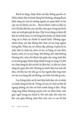  Tiếng Gọi Nơi Hoang Dã - Văn Học Mỹ -  Tác Phẩm Chọn Lọc - Jack London 