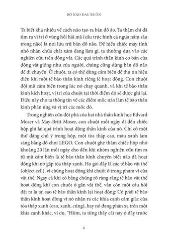  Bộ Não Đau Buồn - 
TS. Mary-Frances O’Connor 