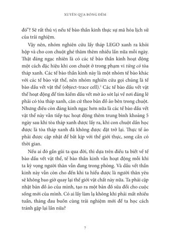  Bộ Não Đau Buồn - 
TS. Mary-Frances O’Connor 