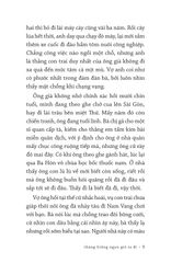 Tiếng Gọi Chân Trời - 
Nguyễn Ngọc Tư