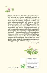 Mùa Hoa Trên Những Lối Sông - Võ Diệu Thanh