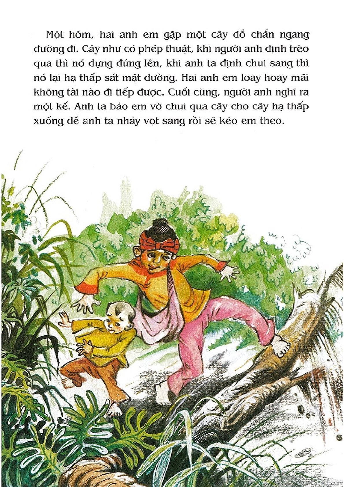 Combo 5 Quyển Tranh Truyện Dân Gian Việt Nam ( Cứu Vật, Vật Trả Ân + Đi Ở Học Thành Tài + Điều Ước Cuối Cùng + Hai Anh Em Và Cây Thuốc Thần + Nợ Như Chúa Chổm ) - Nhiều Tác Giả