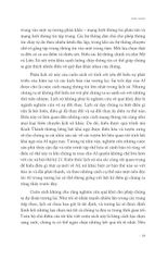 NEXUS - Lược Sử Của Những Mạng Lưới Thông Tin Từ Thời Đại Đồ Đá Đến Trí Tuệ Nhân Tạo - Yuval Noah Harari (Bìa Mềm)