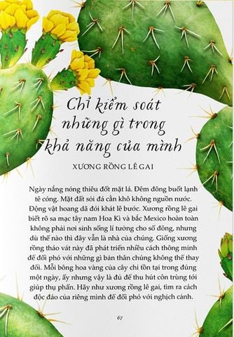  Vươn Mình Như Những Đoá Hoa - Những Bài Học Nhỏ Để Có Nguồn Vui Và An Lành Bất Tận - Liz Marvin, Rosie Dore 
