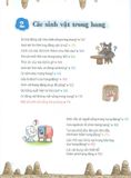  Combo 10 Quyển Quiz! Khoa Học Kì Thú - Về Tự Nhiên 