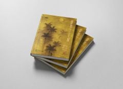 Duyên - Hiện Thực, Trừu Tượng, Thiền Họa - Phạm Lê