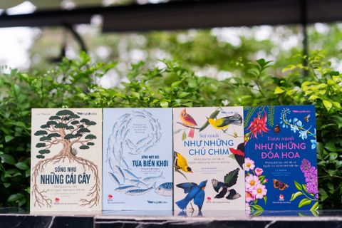  Combo 4 Quyển Những Bài Học Nhỏ Từ Thiên Nhiên ( Sống Như Những Cái Cây + Vươn Mình Như Những Đoá Hoa + Sống Một Đời Tựa Biển Khơi + Sải Cánh Như Những Chú Chim ) 