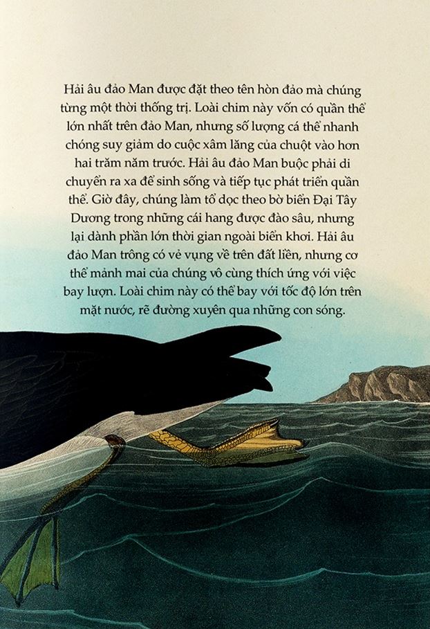 Sải Cánh Như Những Chú Chim - Những Bài Học Nhỏ Để Có Nguồn Năng Lượng Tích Cực Bất Tận - Alison Davies, John James Audubon